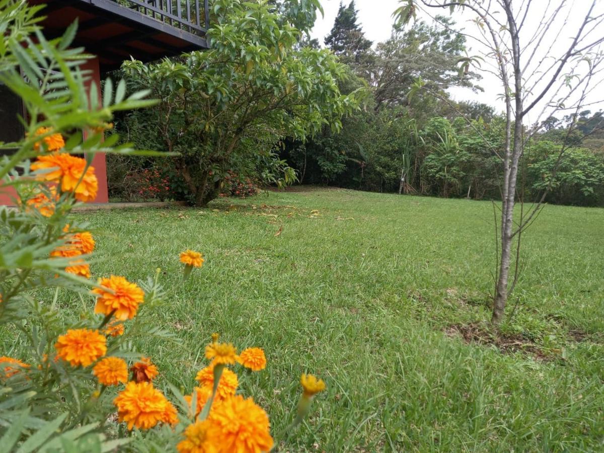 Вилла Casa De Montana Tica Linda Монте-Верде Экстерьер фото