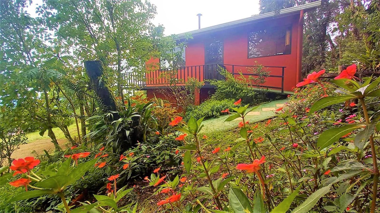 Вилла Casa De Montana Tica Linda Монте-Верде Экстерьер фото